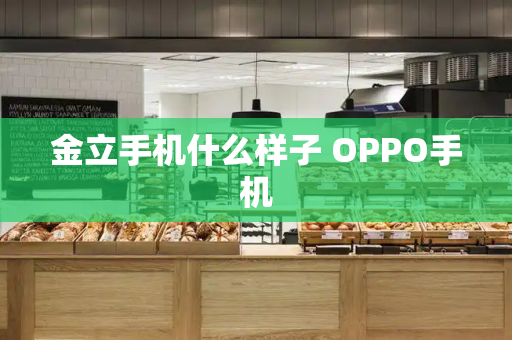 金立手机什么样子 OPPO手机-第1张图片-星选测评