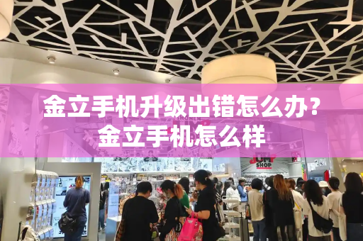 金立手机升级出错怎么办？金立手机怎么样