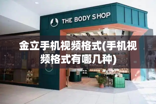 金立手机视频格式(手机视频格式有哪几种)