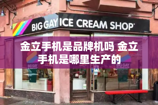 金立手机是品牌机吗 金立手机是哪里生产的-第1张图片-星选测评