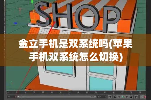 金立手机是双系统吗(苹果手机双系统怎么切换)
