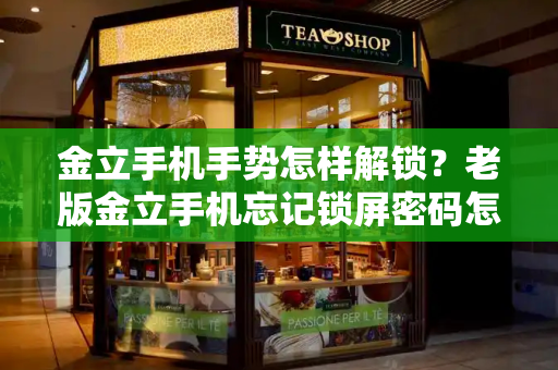 金立手机手势怎样解锁？老版金立手机忘记锁屏密码怎么办-第1张图片-星选测评