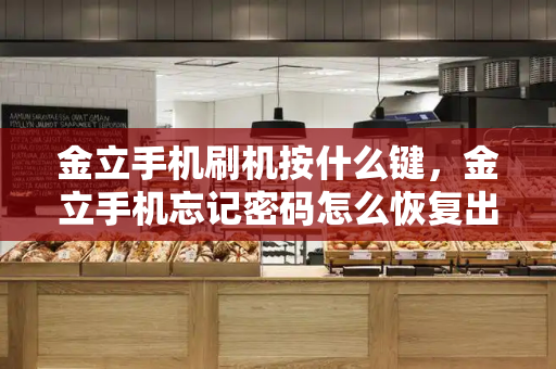 金立手机刷机按什么键，金立手机忘记密码怎么恢复出厂设置-第1张图片-星选测评