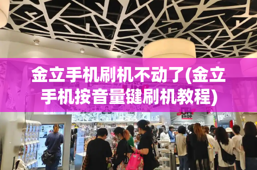金立手机刷机不动了(金立手机按音量键刷机教程)-第1张图片-星选测评