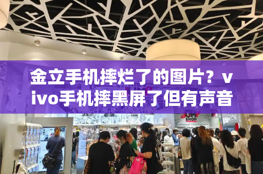 金立手机摔烂了的图片？vivo手机摔黑屏了但有声音-第1张图片-星选测评