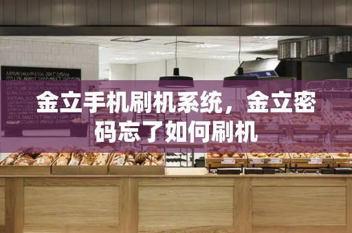 金立手机刷机系统，金立密码忘了如何刷机-第1张图片-星选测评
