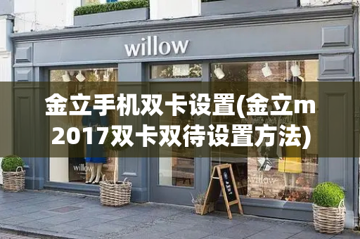 金立手机双卡设置(金立m2017双卡双待设置方法)-第1张图片-星选测评