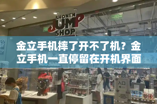 金立手机摔了开不了机？金立手机一直停留在开机界面怎么办-第1张图片-星选测评