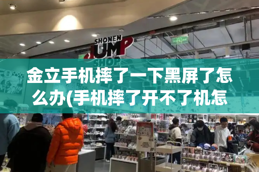 金立手机摔了一下黑屏了怎么办(手机摔了开不了机怎么解决)