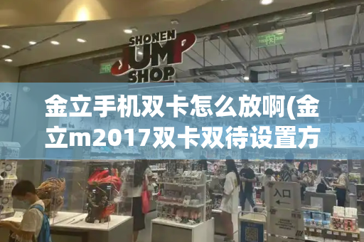 金立手机双卡怎么放啊(金立m2017双卡双待设置方法)-第1张图片-星选测评