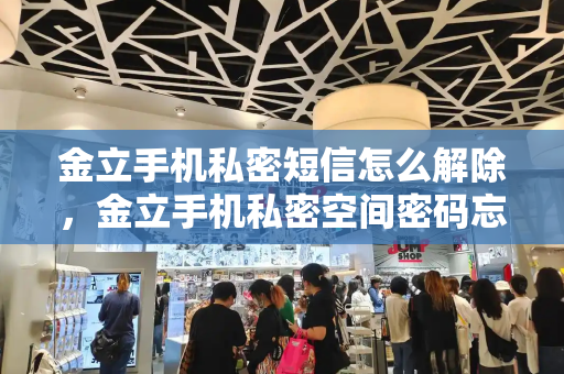 金立手机私密短信怎么解除，金立手机私密空间密码忘了怎么办-第1张图片-星选测评