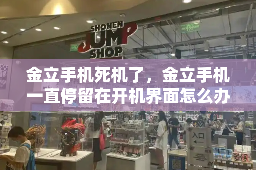 金立手机死机了，金立手机一直停留在开机界面怎么办-第1张图片-星选测评