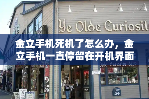 金立手机死机了怎么办，金立手机一直停留在开机界面怎么办
