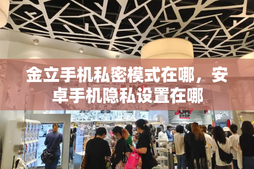 金立手机私密模式在哪，安卓手机隐私设置在哪