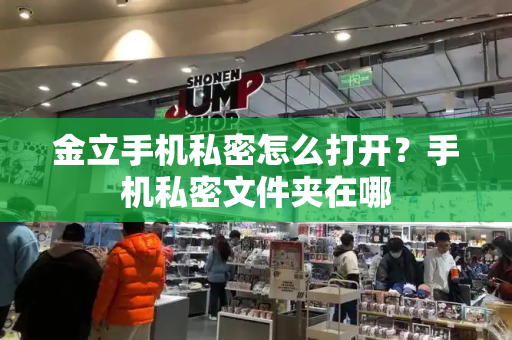 金立手机私密怎么打开？手机私密文件夹在哪-第1张图片-星选测评