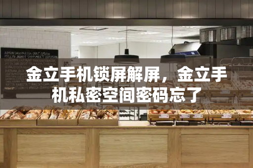 金立手机锁屏解屏，金立手机私密空间密码忘了-第1张图片-星选测评