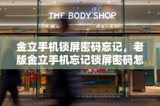 金立手机锁屏密码忘记，老版金立手机忘记锁屏密码怎么办-第1张图片-星选测评
