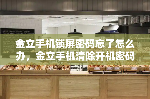金立手机锁屏密码忘了怎么办，金立手机清除开机密码-第1张图片-星选测评