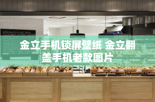 金立手机锁屏壁纸 金立翻盖手机老款图片