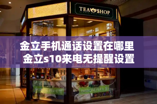 金立手机通话设置在哪里 金立s10来电无提醒设置-第1张图片-星选测评