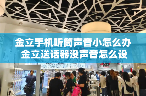 金立手机听筒声音小怎么办 金立送话器没声音怎么设置