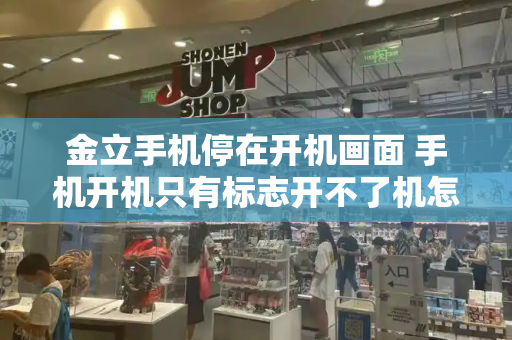 金立手机停在开机画面 手机开机只有标志开不了机怎么办-第1张图片-星选测评