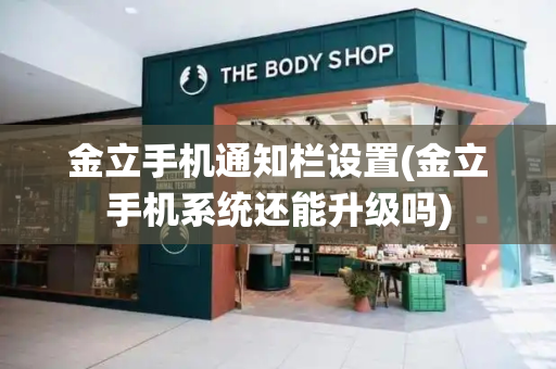 金立手机通知栏设置(金立手机系统还能升级吗)