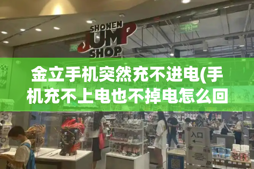 金立手机突然充不进电(手机充不上电也不掉电怎么回事)