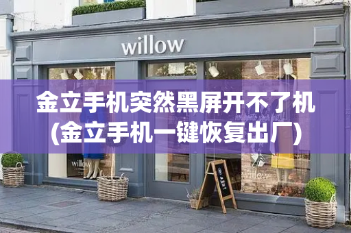 金立手机突然黑屏开不了机(金立手机一键恢复出厂)-第1张图片-星选测评