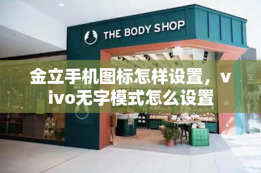 金立手机图标怎样设置，vivo无字模式怎么设置