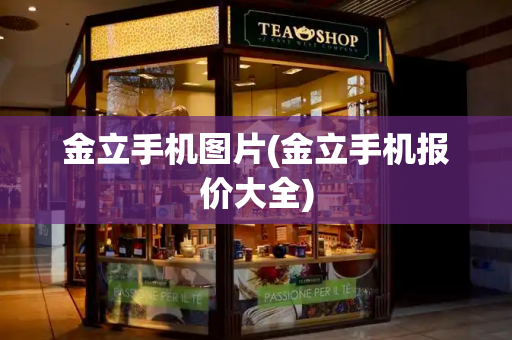 金立手机图片(金立手机报价大全)