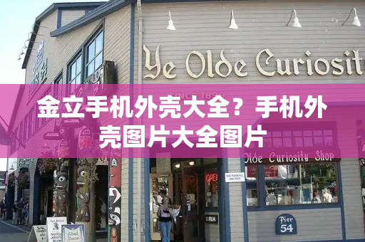 金立手机外壳大全？手机外壳图片大全图片-第1张图片-星选测评