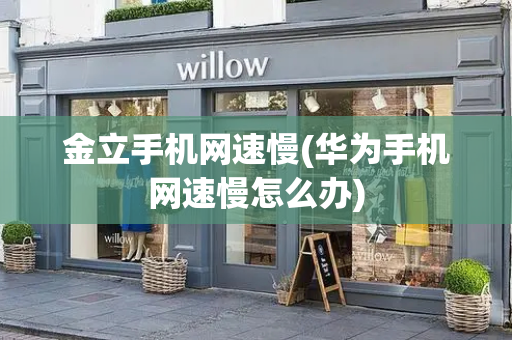 金立手机网速慢(华为手机网速慢怎么办)-第1张图片-星选测评