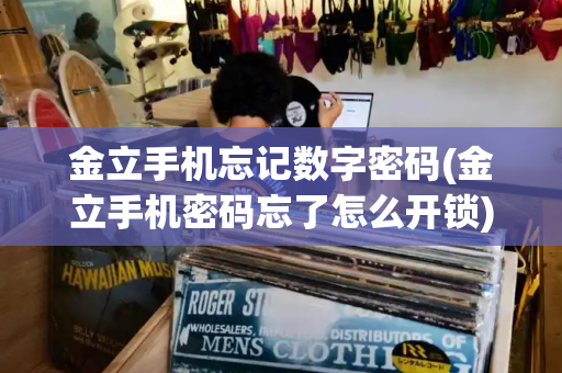 金立手机忘记数字密码(金立手机密码忘了怎么开锁)