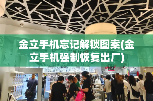 金立手机忘记解锁图案(金立手机强制恢复出厂)-第1张图片-星选测评