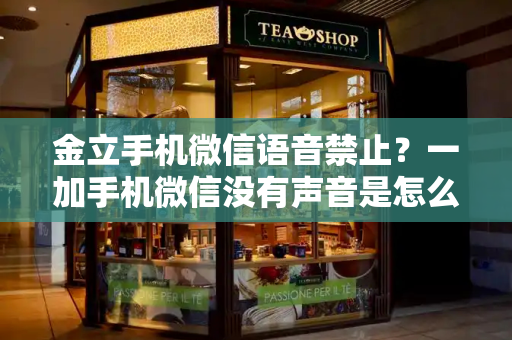 金立手机微信语音禁止？一加手机微信没有声音是怎么回事