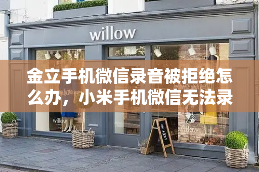 金立手机微信录音被拒绝怎么办，小米手机微信无法录音是什么原因-第1张图片-星选测评