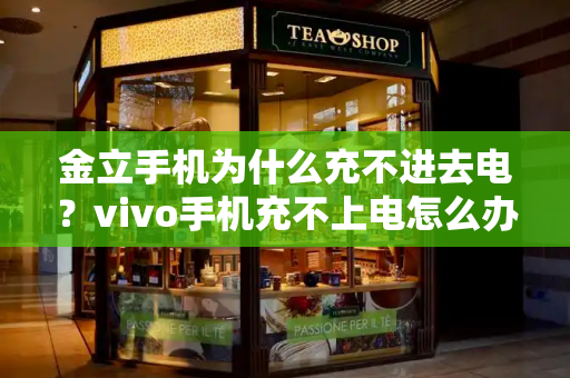 金立手机为什么充不进去电？vivo手机充不上电怎么办