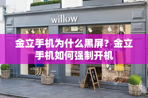 金立手机为什么黑屏？金立手机如何强制开机-第1张图片-星选测评