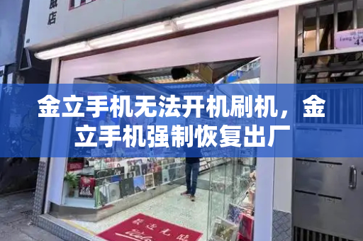 金立手机无法开机刷机，金立手机强制恢复出厂-第1张图片-星选测评
