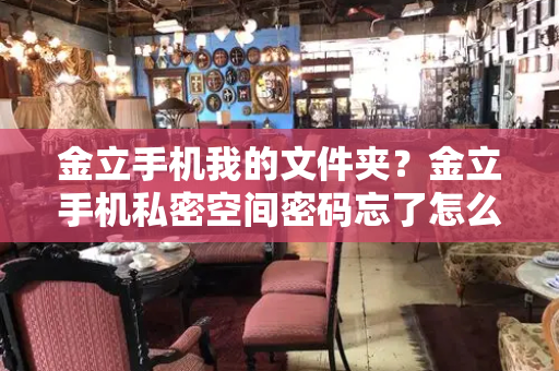 金立手机我的文件夹？金立手机私密空间密码忘了怎么办
