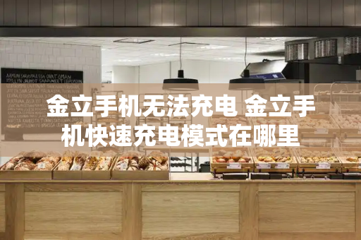 金立手机无法充电 金立手机快速充电模式在哪里