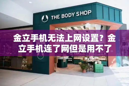 金立手机无法上网设置？金立手机连了网但是用不了-第1张图片-星选测评