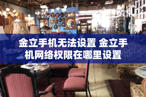 金立手机无法设置 金立手机网络权限在哪里设置