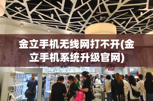 金立手机无线网打不开(金立手机系统升级官网)