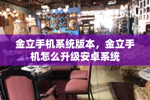 金立手机系统版本，金立手机怎么升级安卓系统-第1张图片-星选测评