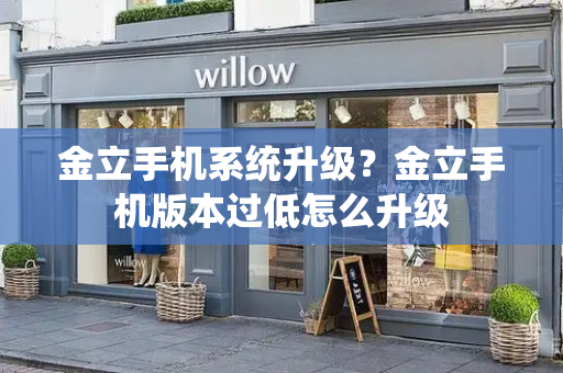 金立手机系统升级？金立手机版本过低怎么升级-第1张图片-星选测评