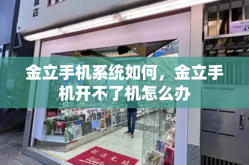 金立手机系统如何，金立手机开不了机怎么办-第1张图片-星选测评