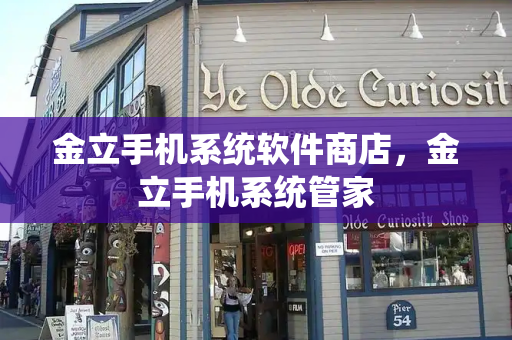 金立手机系统软件商店，金立手机系统管家-第1张图片-星选测评