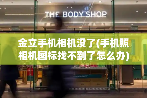 金立手机相机没了(手机照相机图标找不到了怎么办)-第1张图片-星选测评